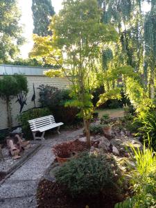 a park bench in a garden with a tree at Monteurzimmer Grüner Winkel in Lembruch