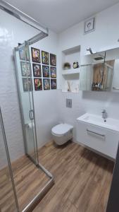 a bathroom with a shower and a toilet and a sink at Apartment Ultra-Central, Parcare, AC, Jaluzele, WiFi in Baia Mare
