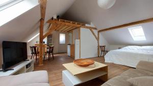 a living room with a bed and a tv and a bedroom at Large Private Room Near Colmar Center with Free Public Parking in Colmar