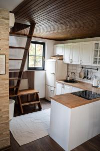 a kitchen with white cabinets and a wooden ceiling at Countryside cottage with mountain view in Lukovica pri Domžalah