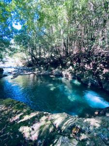 a pool of blue water in a river with trees at 武家屋敷 無為自然ーSamurai House in Yunoo +78 photos