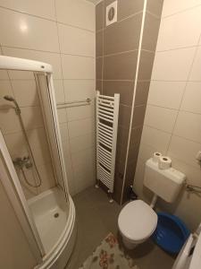 a small bathroom with a toilet and a shower at Apartman Balkan in Bijeljina +1 photo