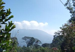 a view of a mountain range with trees and clouds at The nest haputale in Haputalegama