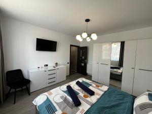 a bedroom with a bed and a desk and a television at Ideal House Rent in Petroşani