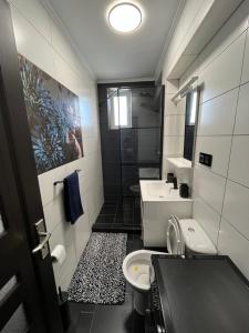 a bathroom with a toilet and a sink at Ideal House Rent in Petroşani