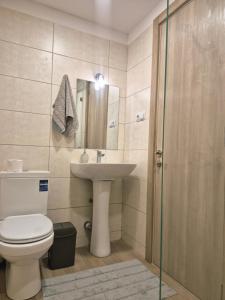 a bathroom with a toilet and a sink and a shower at Bakuriani Plaza A block N109 in Bakuriani