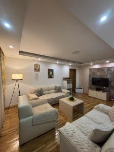 a living room with two couches and a tv at Stan na dan in Pljevlja