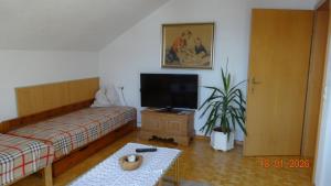 a living room with a couch and a tv at Ferienwohnung Schlemmer in Doren