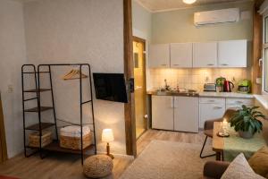 a living room with a kitchen and a room with a couch at Pension Waldfrieden in Thale