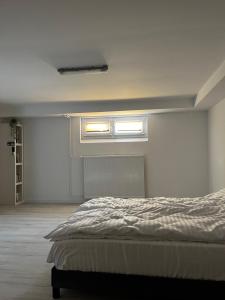 a white room with a bed and two windows at Ferienwohnung Fatlume No 1 in Bad Honnef am Rhein