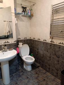 a bathroom with a toilet and a sink at Vintage Veranda Apartment in Itʼkhvisi +7 photos