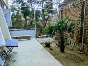 a patio with a bench and a palm tree in a greenhouse at Vintage Veranda Apartment in Itʼkhvisi