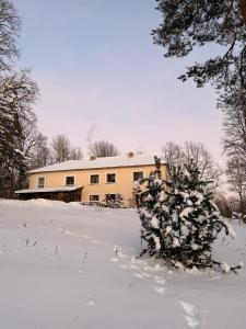 a house with a snow covered tree in front of it at Gaiziņstars in Bērzaune