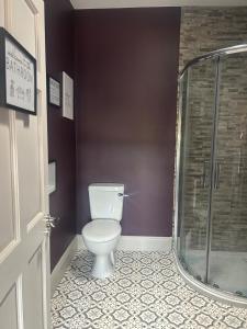 a bathroom with a toilet and a glass shower at Clontrain Cottage in Carrickmacross +10 photos