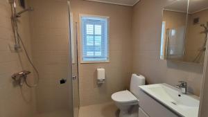 a bathroom with a shower and a toilet and a sink at Øen Turistsenter Apartments in Geilo