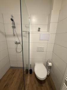 a bathroom with a toilet and a glass shower at Apartmán LUNA Choceň in Choceň