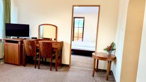 a room with a mirror and a desk with a television at Willa Park in Zakopane