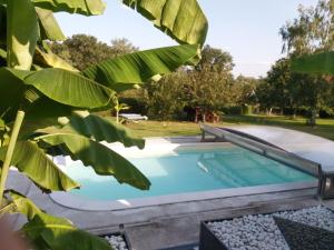 a swimming pool in a yard with trees at Le cocoon idyllique in Faverolles-sur-Cher