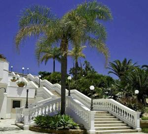 a staircase leading up to a white building with a palm tree at Hotel Kaos in Villaggio Pirandello