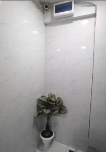 a bathroom with a plant in a toilet at Patel's Guest House in Surat +5 photos