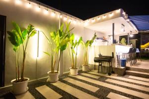 a group of potted plants on a patio at night at Baan Rot Fai Krabi Platform 3 in Ao Nam Mao