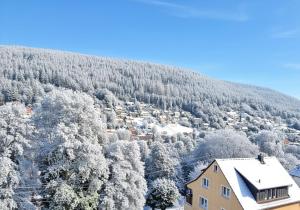 an aerial view of a village on a snowy mountain at Himmelsnest in Bad Wildbad