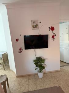 a flat screen tv on a white wall with a plant at home zeinbe 2 in Hammamet