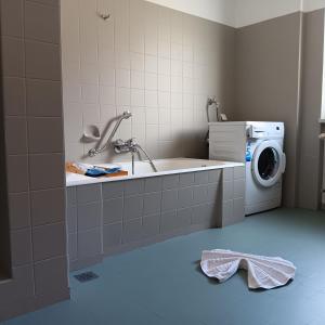 a bathroom with a sink and a washing machine at Ferienwohnung Landliebe in Pinswang