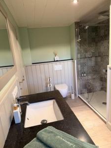 a bathroom with a sink and a shower and a toilet at 't Steenenhuys in Dilsen-Stokkem
