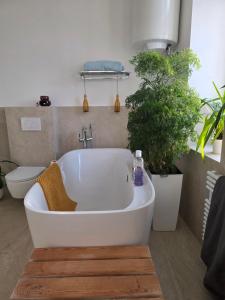 a bath tub in a bathroom with two plants at Rooms in Maribor Centre in Maribor +19 photos