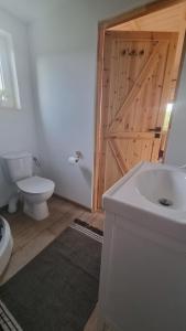 a bathroom with a toilet and a sink and a door at Dziupla u Szpaka in Kątno