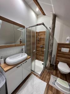 a bathroom with a glass shower and a sink at PS5, VR2, Logitech racing-Apartmán pod Chočom in Leštiny +35 photos