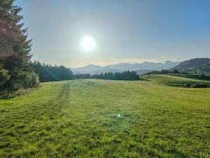 a field of green grass with the sun in the background at PS5, VR2, Logitech racing-Apartmán pod Chočom in Leštiny