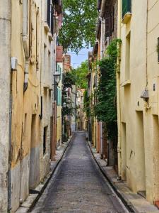 an empty alley way in an alley between buildings at La Maison Cérétane in Céret