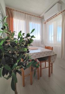 a dining room with a table and a plant at Apartman Mare in Brodarica