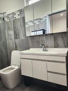 a bathroom with a toilet and a sink and a mirror at Tropical Tobago in Riseland +5 photos