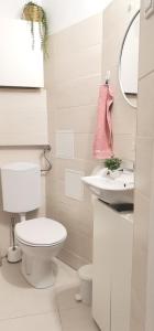 a white bathroom with a toilet and a sink at Apartman Mare in Brodarica +20 photos