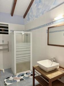 a bathroom with a sink and a shower at Villa Soleil des Caraïbes in Gourbeyre +44 photos