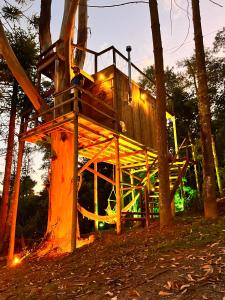 a tree house in the middle of a forest at Cabana da Árvore e Cabana Retrô - ForestPlace in Monte Verde
