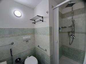 a bathroom with a shower and a toilet at Falanga Family Guests Accommodation in Civitavecchia