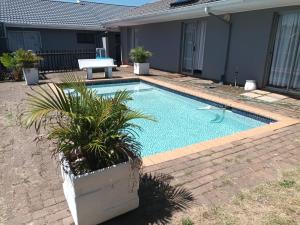 a swimming pool with plants in a yard at BnB Panorama in East London