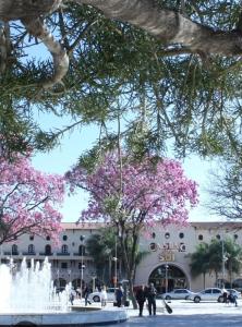 a building with pink flowering trees in front of a fountain at Alas termas in Termas de Río Hondo