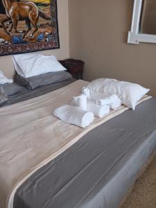 a bed with two towels and a painting on the wall at Alas termas in Termas de Río Hondo +15 photos