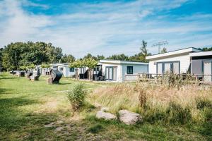 a row of mobile homes in a field with grass at Hotel Königslinie in Sassnitz