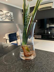 a vase with a plant in it on a counter at Olive Exclusive in Gaborone