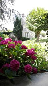 un ramo de flores rosas delante de una casa en Relais De La Haute Pommeraye en Apremont