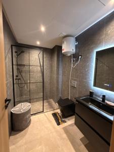 a bathroom with a shower and a sink at Jolie studio plein centre Casablanca in Casablanca