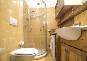 a bathroom with a toilet and a shower and a sink at Un angolo di relax sulle Dolomiti ampezzane in Cortina dʼAmpezzo +3 photos