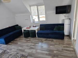 a living room with two blue couches and a tv at Villa Elena in Yanoshi