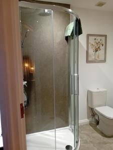 a glass shower in a bathroom with a toilet at The Snug on The Brae in Inverness +11 photos